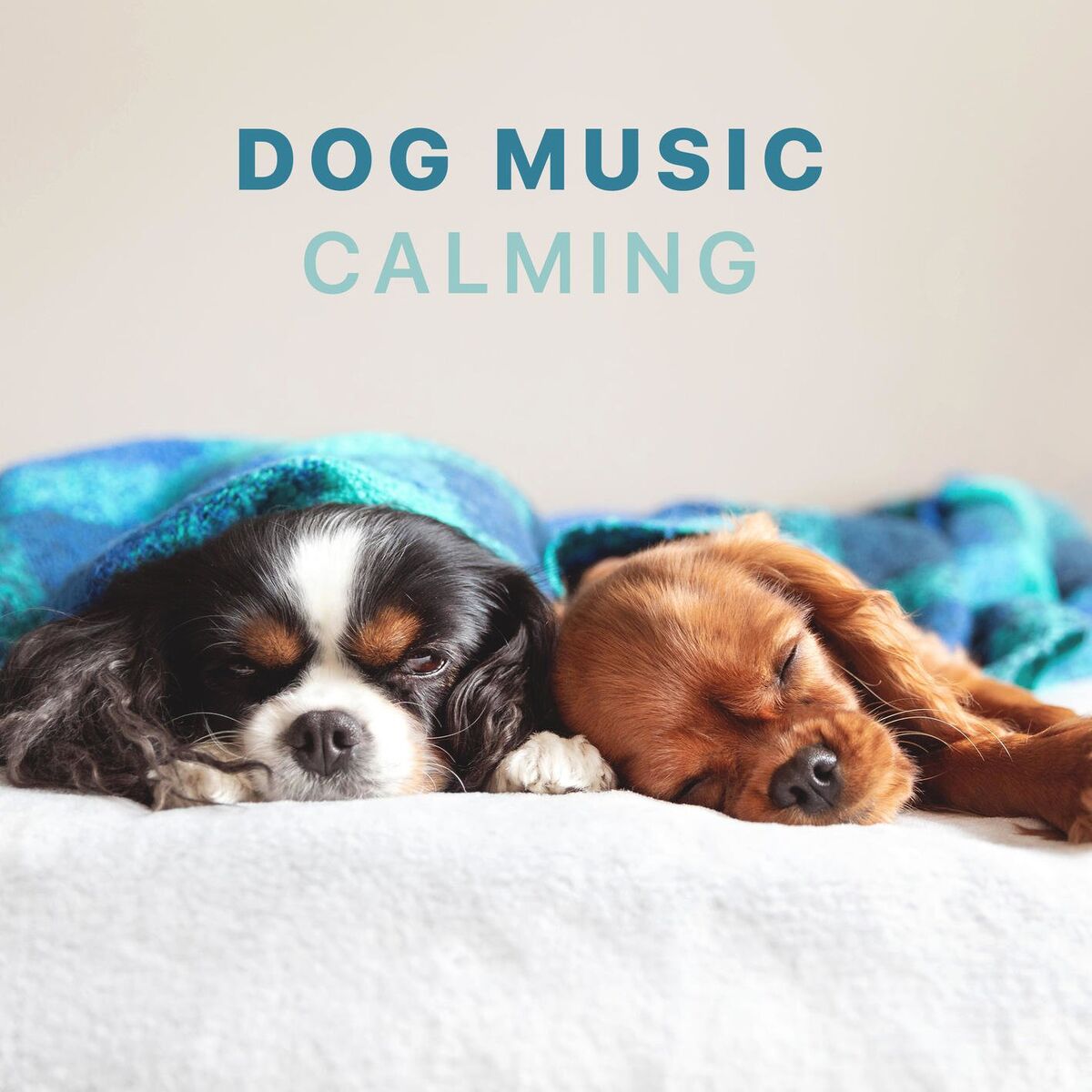 Album cover of Dog Music