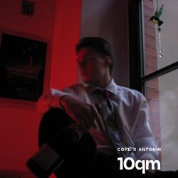 Cover of 10qm