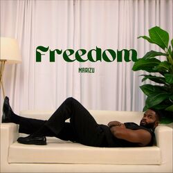Cover of Freedom
