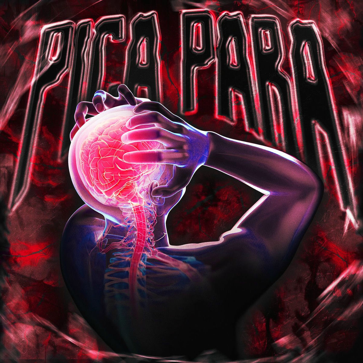 Album cover of PICA PARA