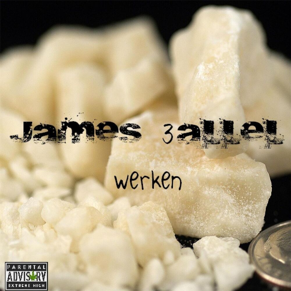 Picture of Werken'
