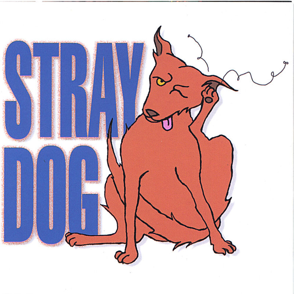 Picture of Stray Dog