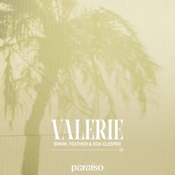 Cover of Valerie