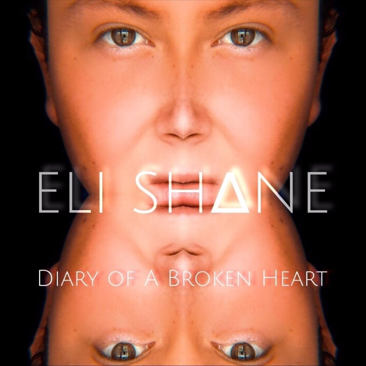 Album cover of Diary of a Broken Heart