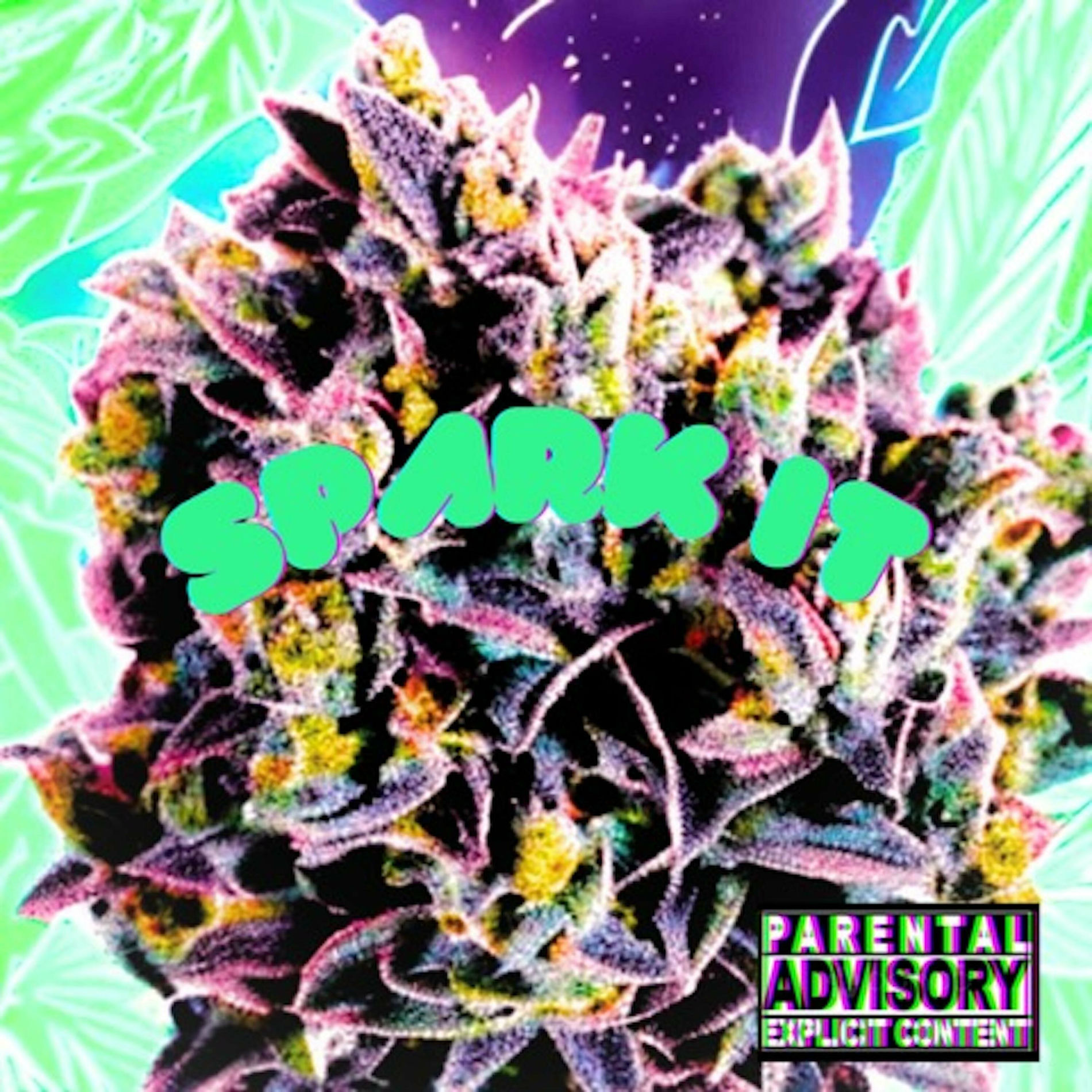 Album picture of SPARK IT