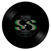 Will Sessions & Amp Fiddler : albums, chansons, concerts