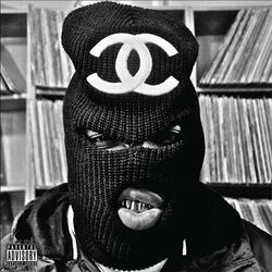 Cover of Hitler Wears Hermes 2