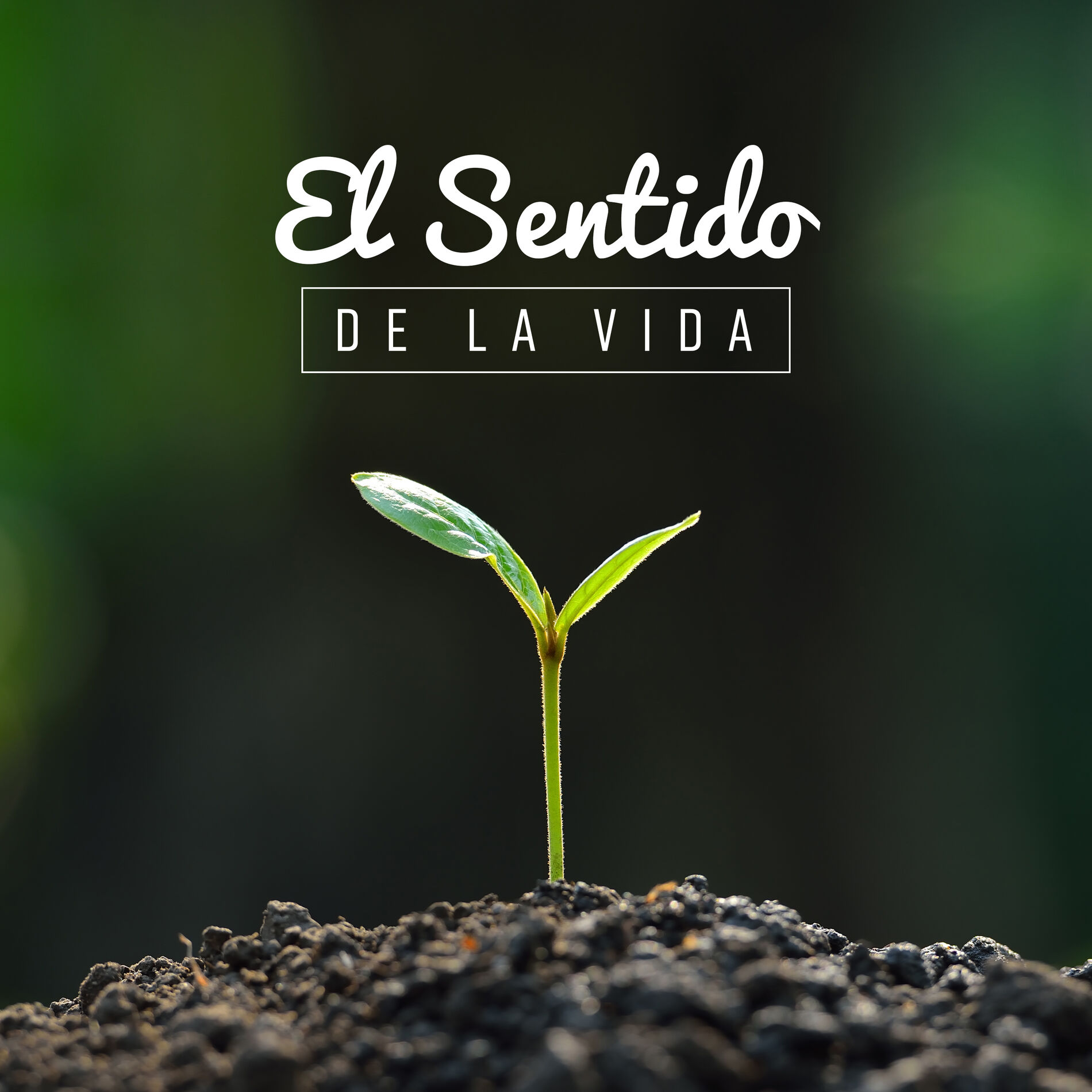 Album cover of El Sentido de la Vida - Permanece en Equilibrio con tus Emociones a Través del Yoga y la Meditación