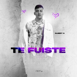 Cover of Te Fuiste