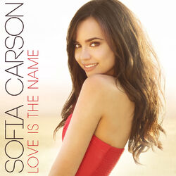 Cover of Love Is the Name
