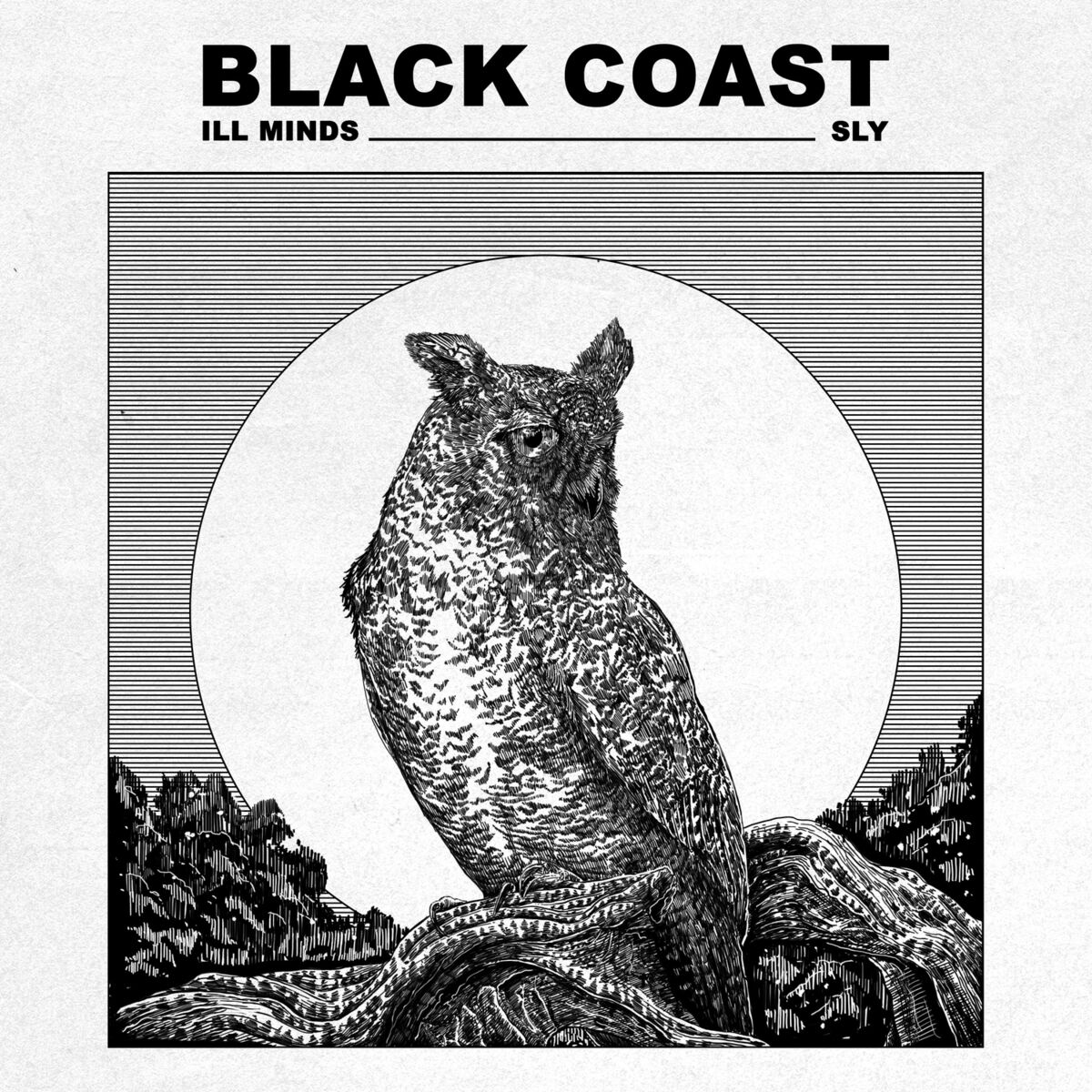 Album cover of S.L.Y.