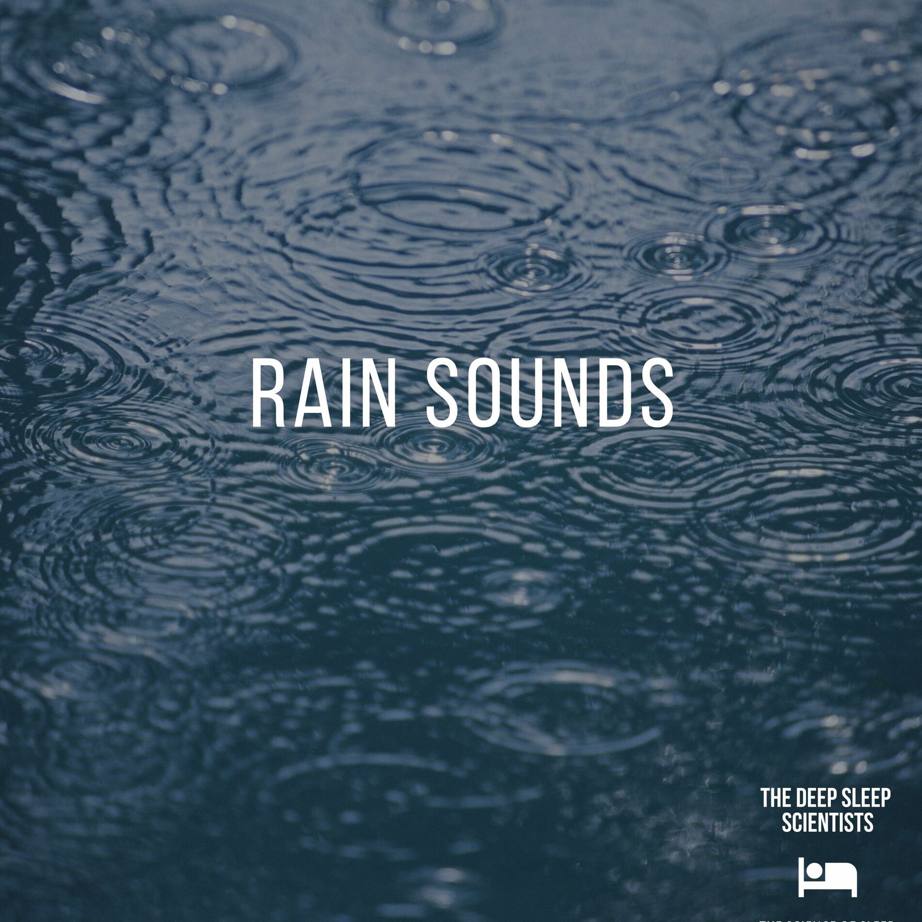 Album cover of Rain Sounds