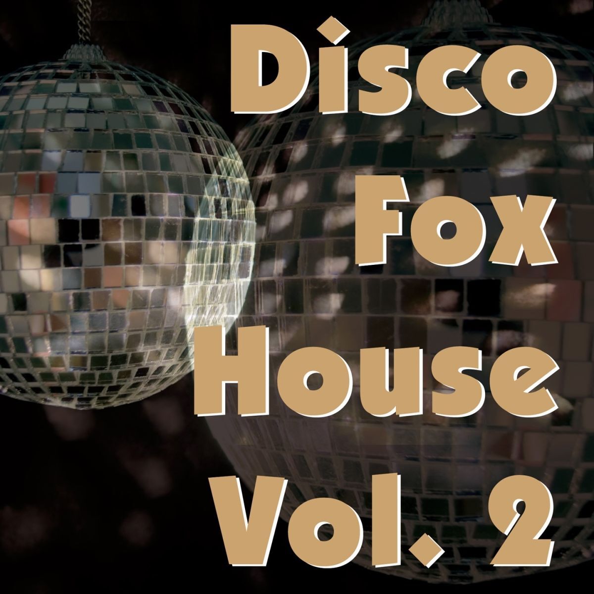 Album cover of Disco Fox House, Vol. 2