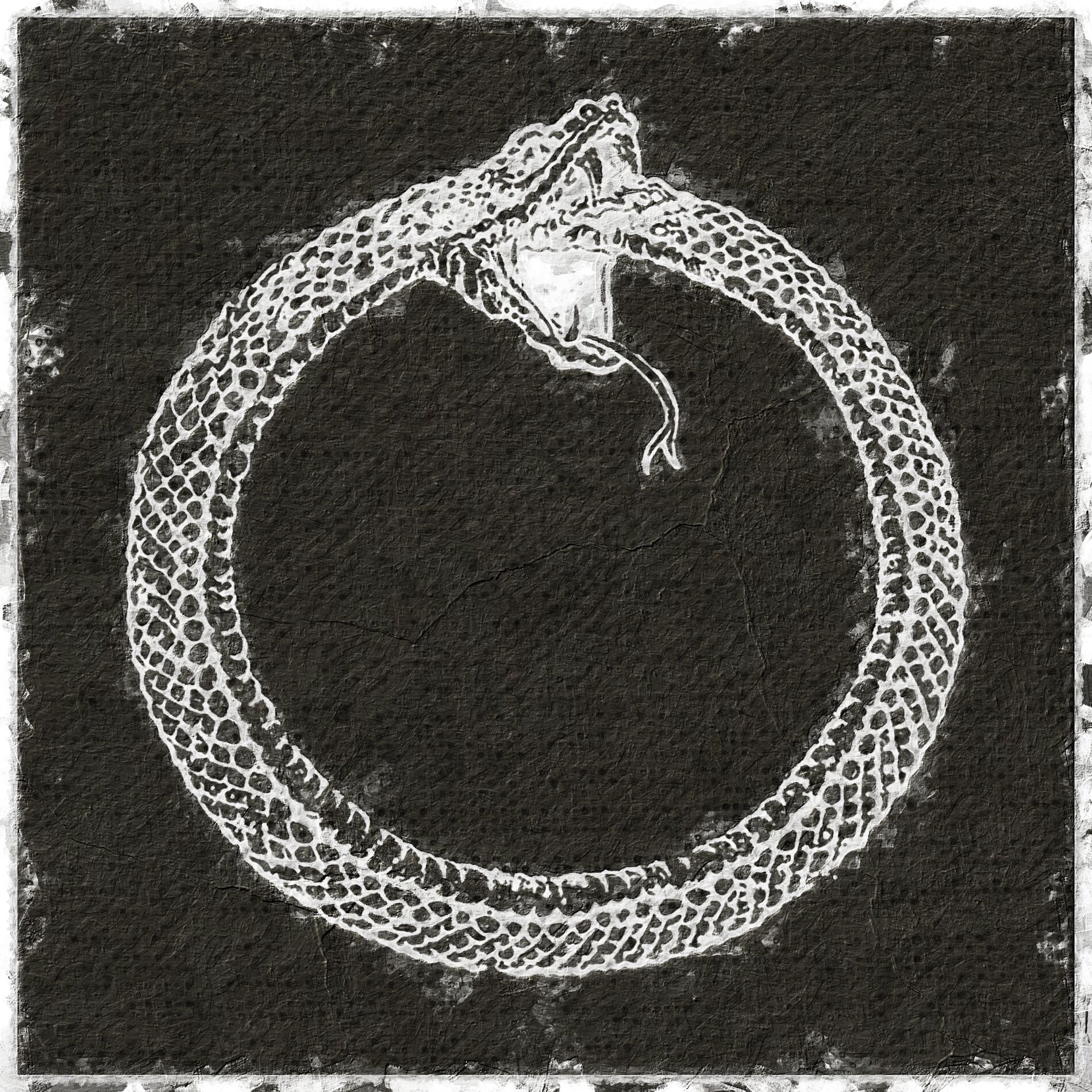 Album cover of Yılanlar