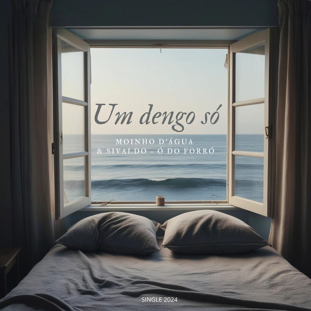Album cover of Um Dengo Só