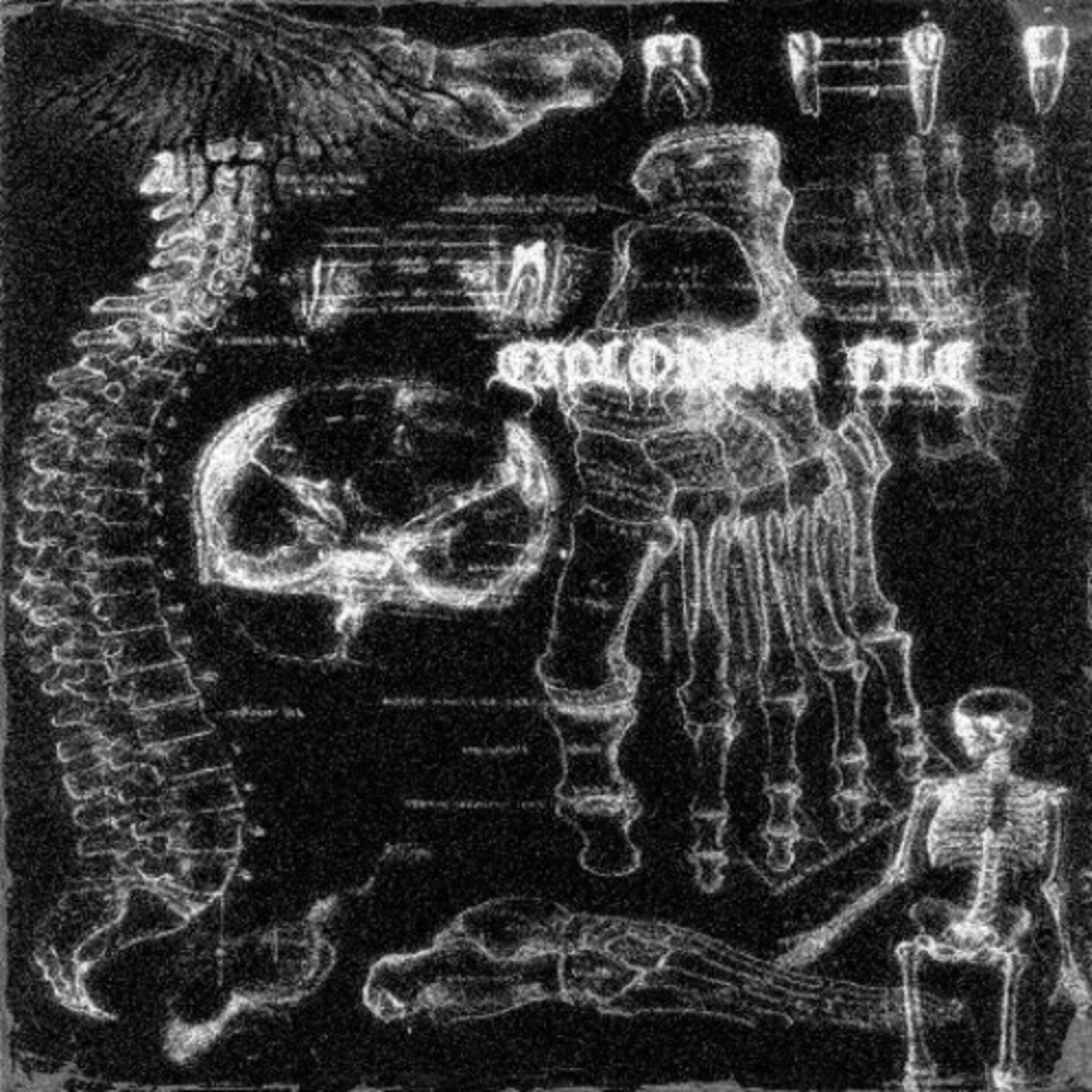 Album cover of EXPLODING LIFE