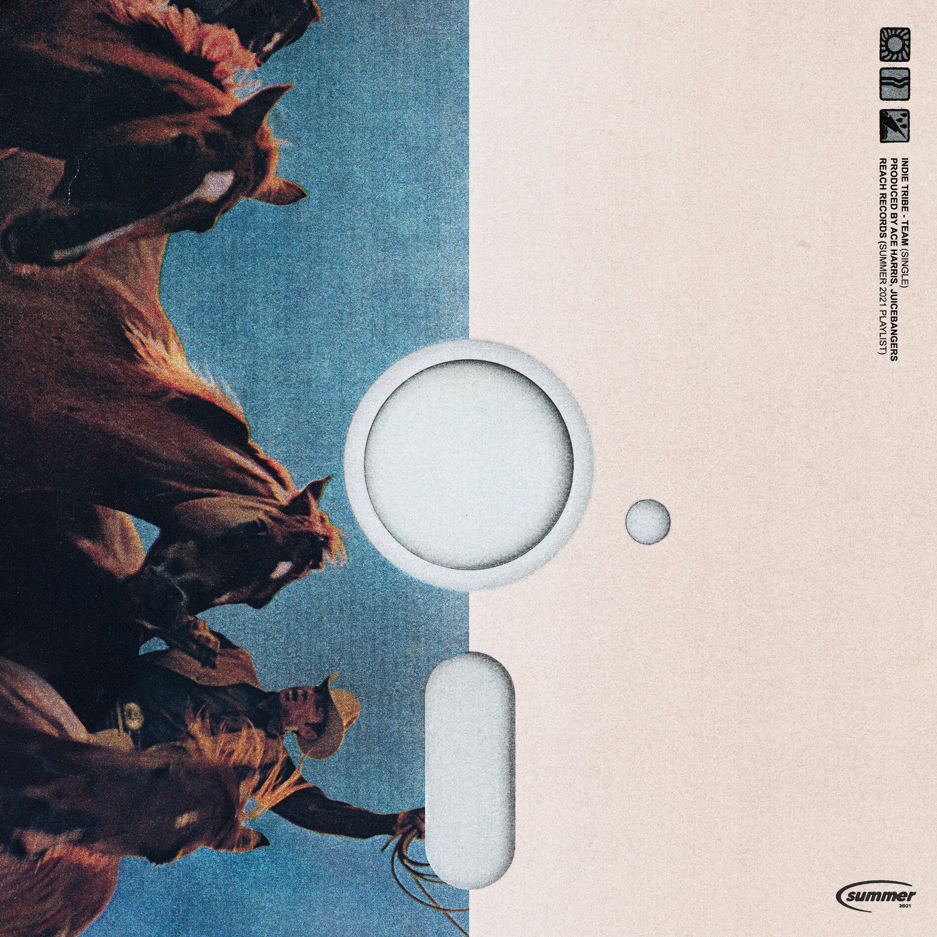 Album cover of TEAM