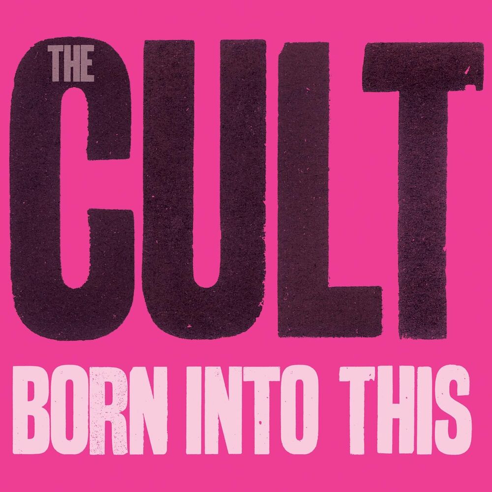 Picture of Born Into This