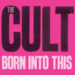 Cover of Born Into This
