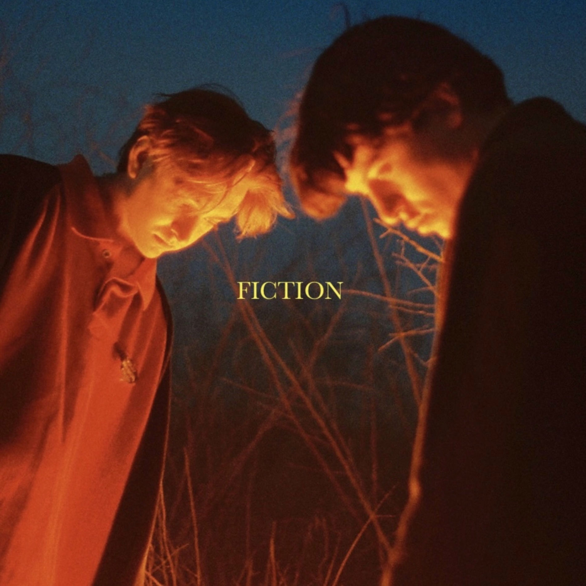 Album cover of Fiction
