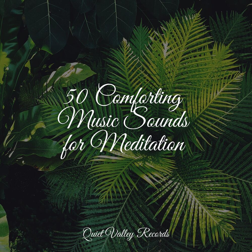 Picture of 50 Comforting Music Sounds for Meditation