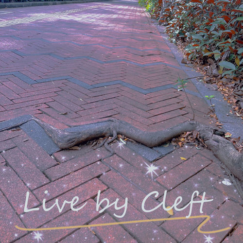 Live by Cleft