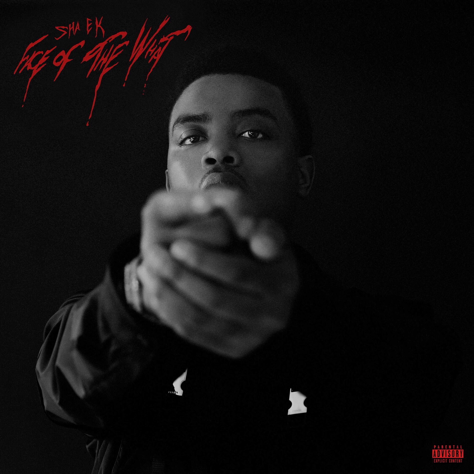 Album cover of Face of the What