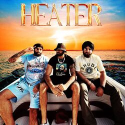 Cover of Heater