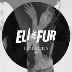 Cover of Illusions