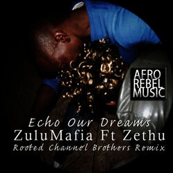Cover of Echo Our Dreams: Rooted Channel Brothers Remix