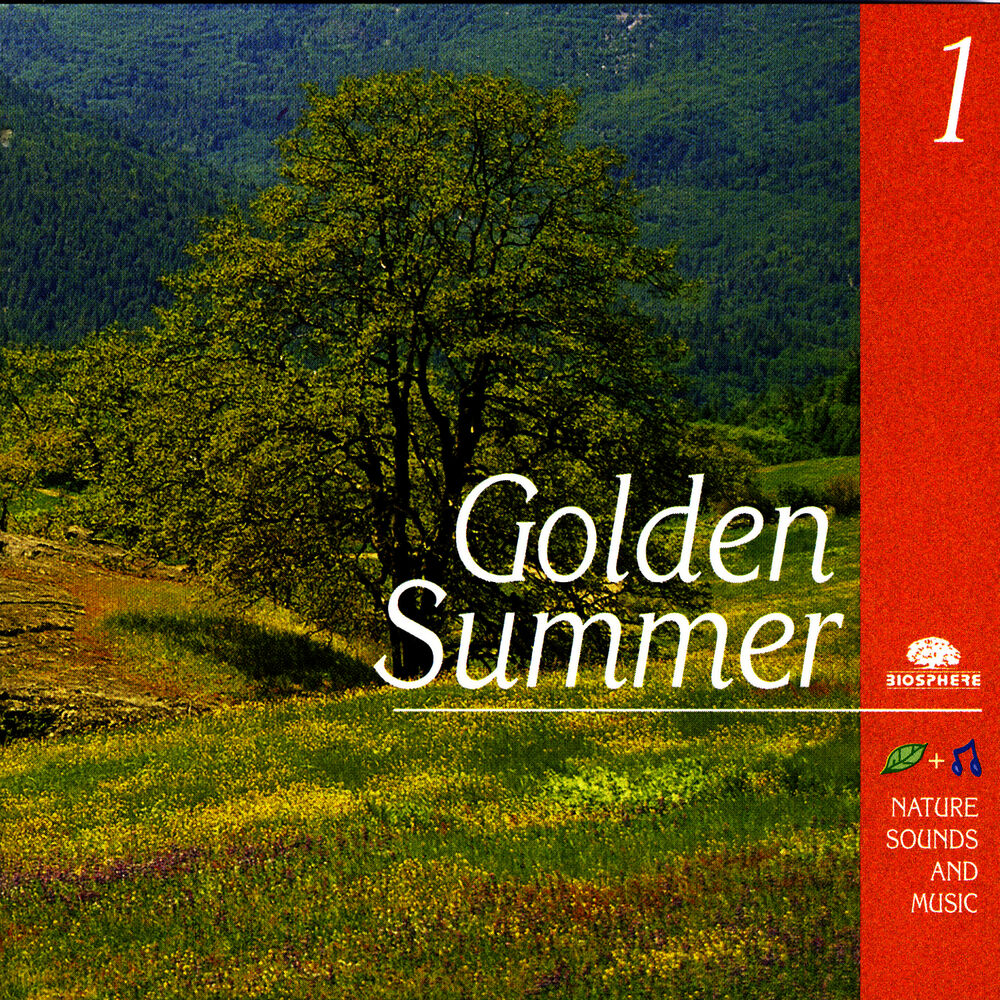 Picture of Golden Summer (Eté De Grâce)