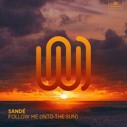 Cover of Follow Me (Into the Sun)