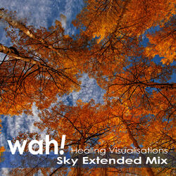 Cover of Sky Extended Mix