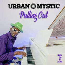 Cover of Pulling Out