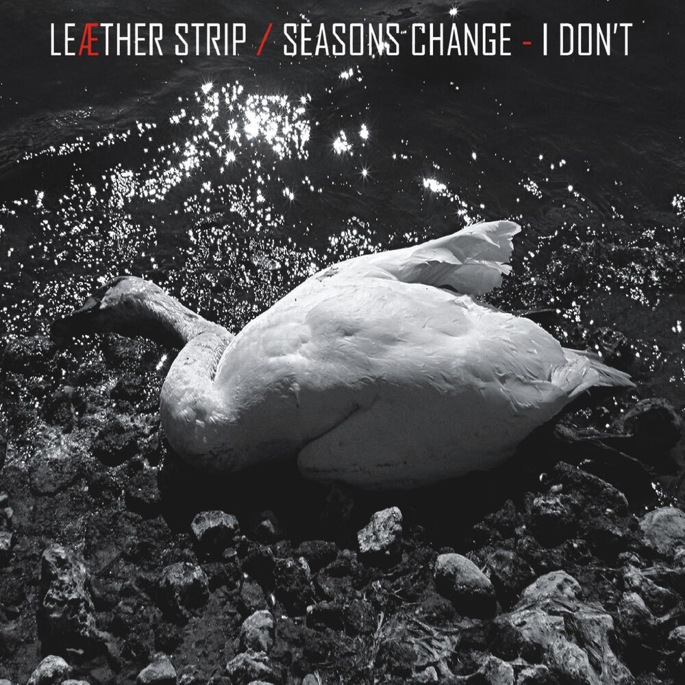 Picture of Seasons Change - I Don't