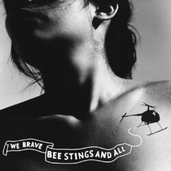 Cover of We Brave Bee Stings and All