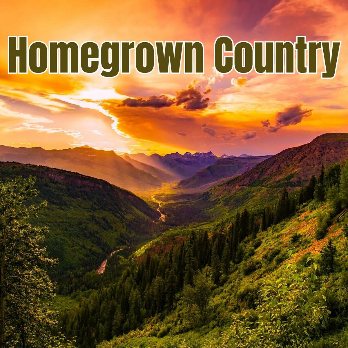 Album cover of Homegrown Country