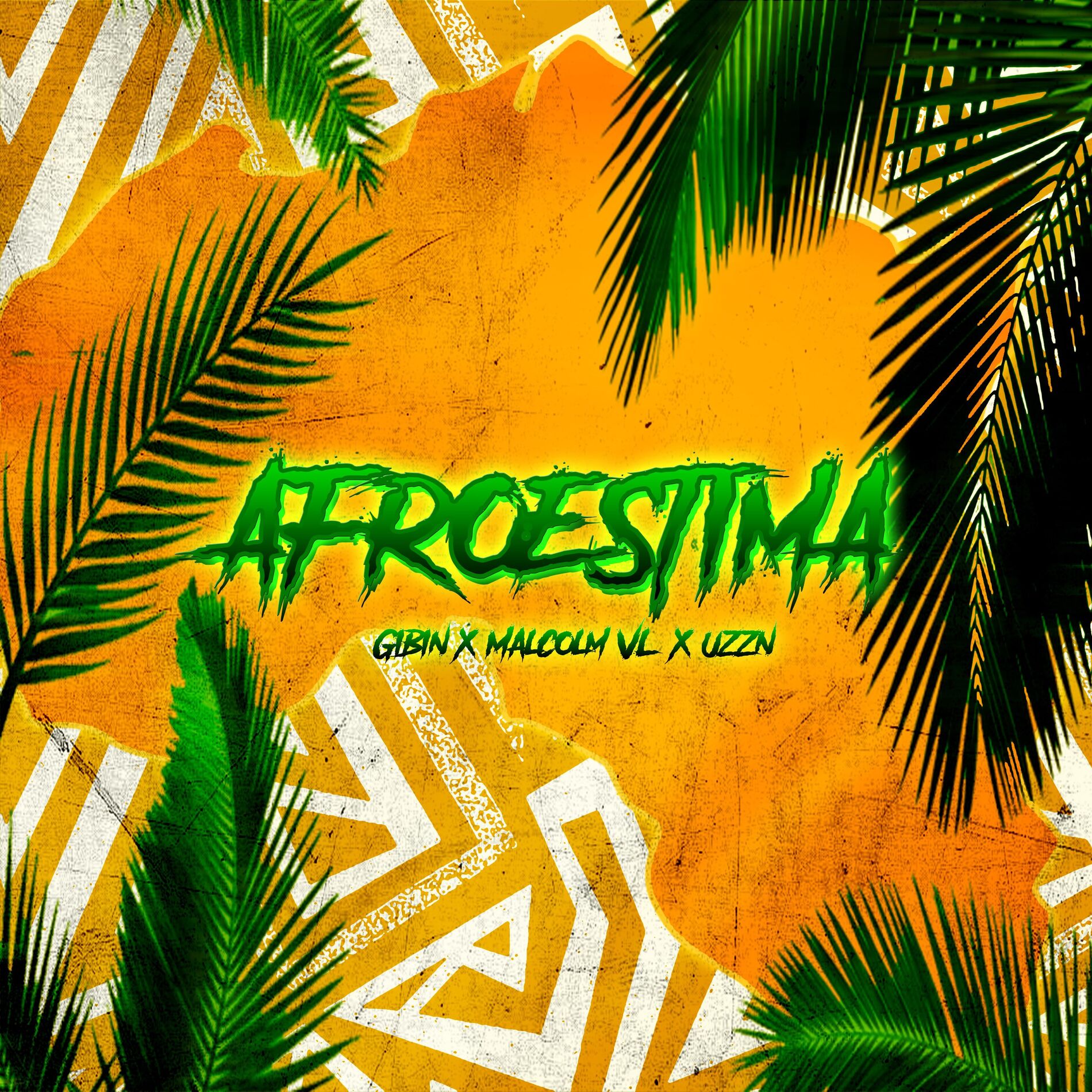 Album cover of Afroestima
