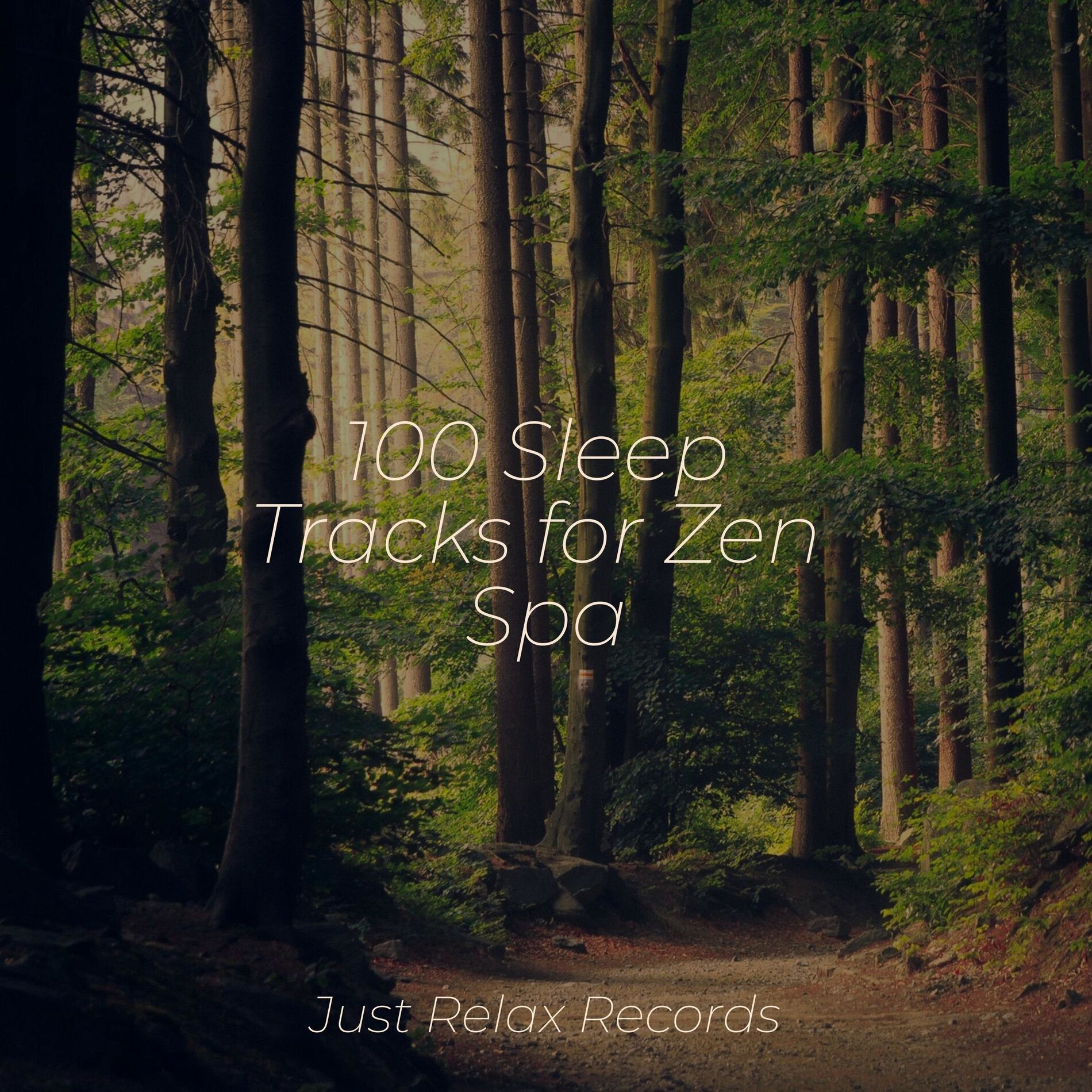 Album cover of 100 Sleep Tracks for Zen Spa