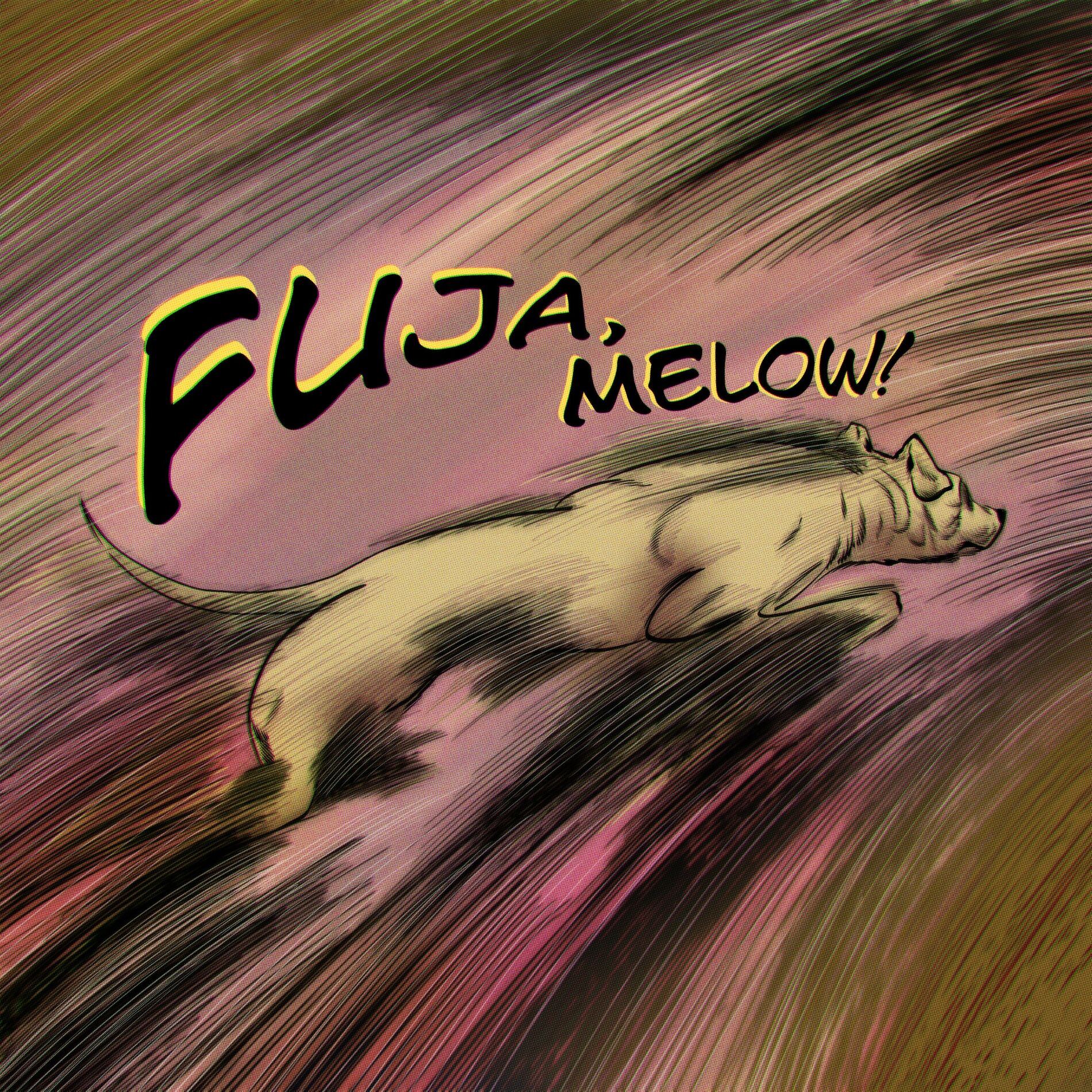 Album cover of Fuja, Melow!