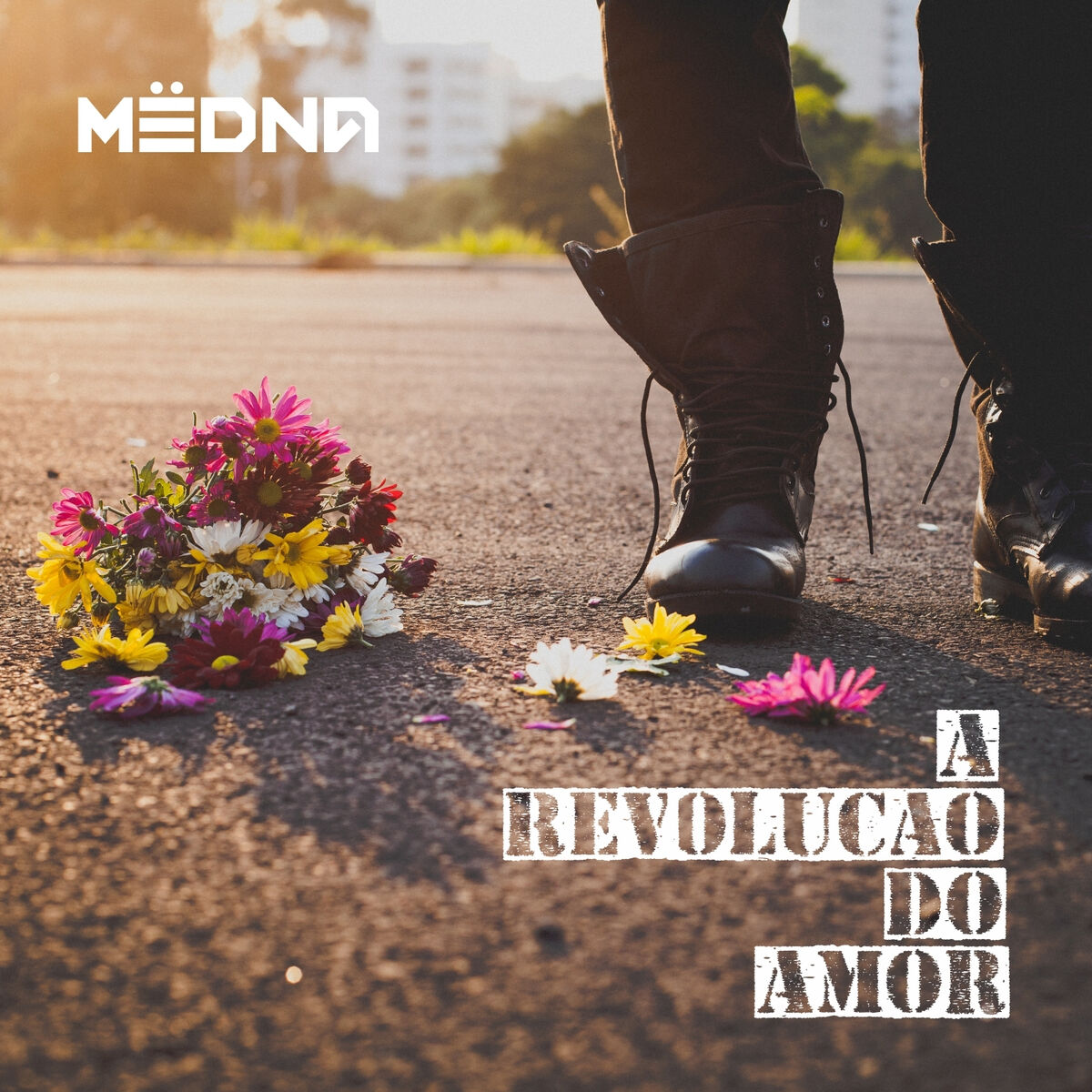 Album cover of A Revolução do Amor