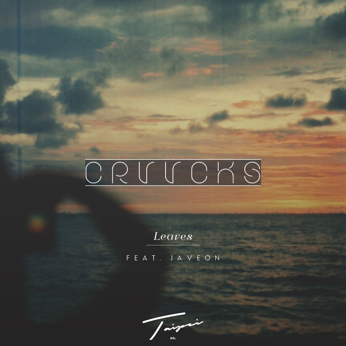Album cover of Leaves