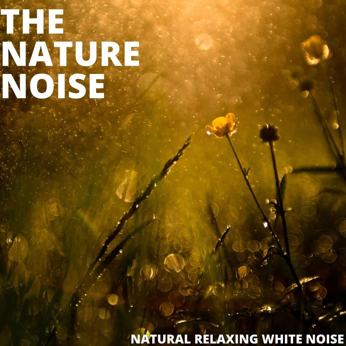 Album cover of Natural Relaxing White Noise