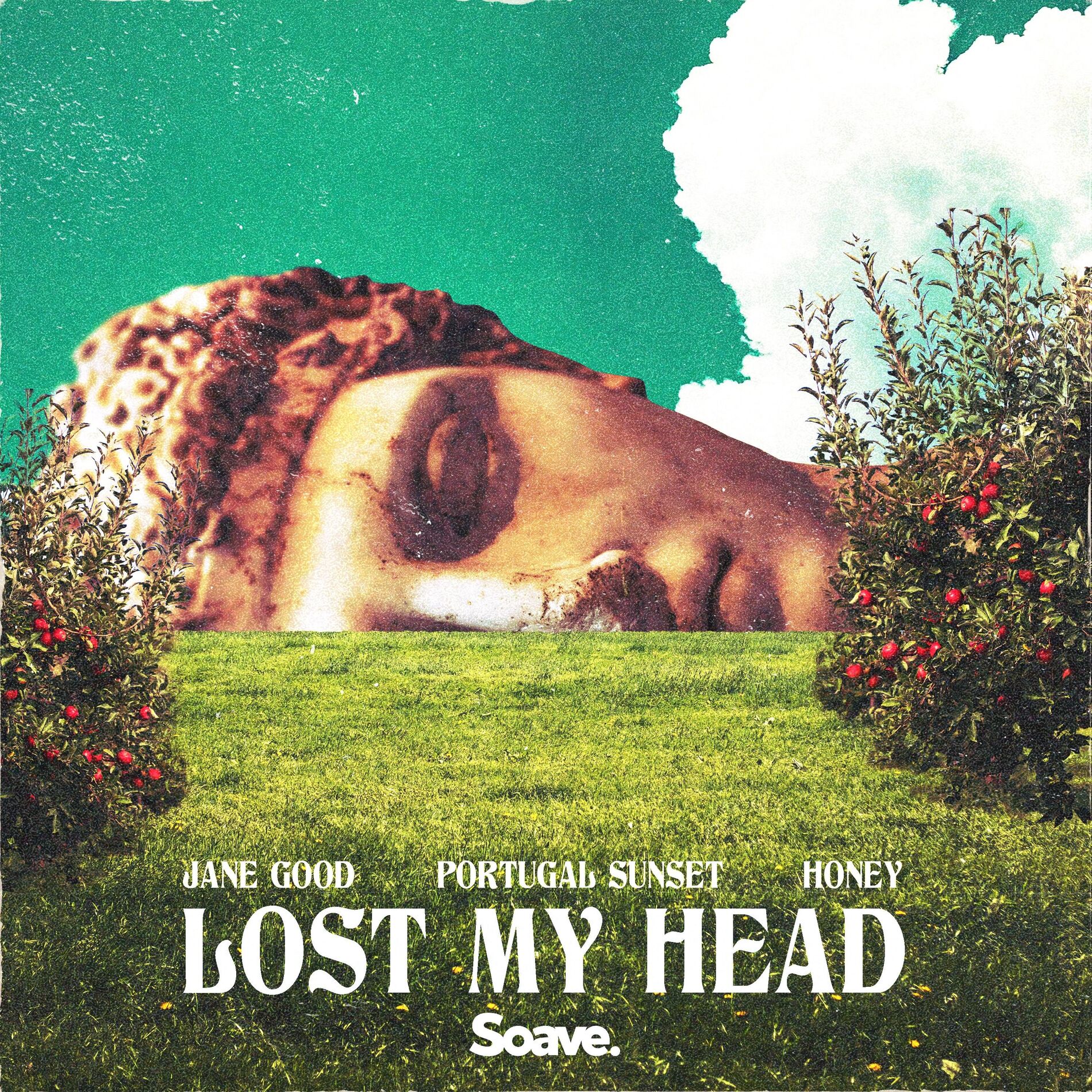 Album cover of Lost My Head