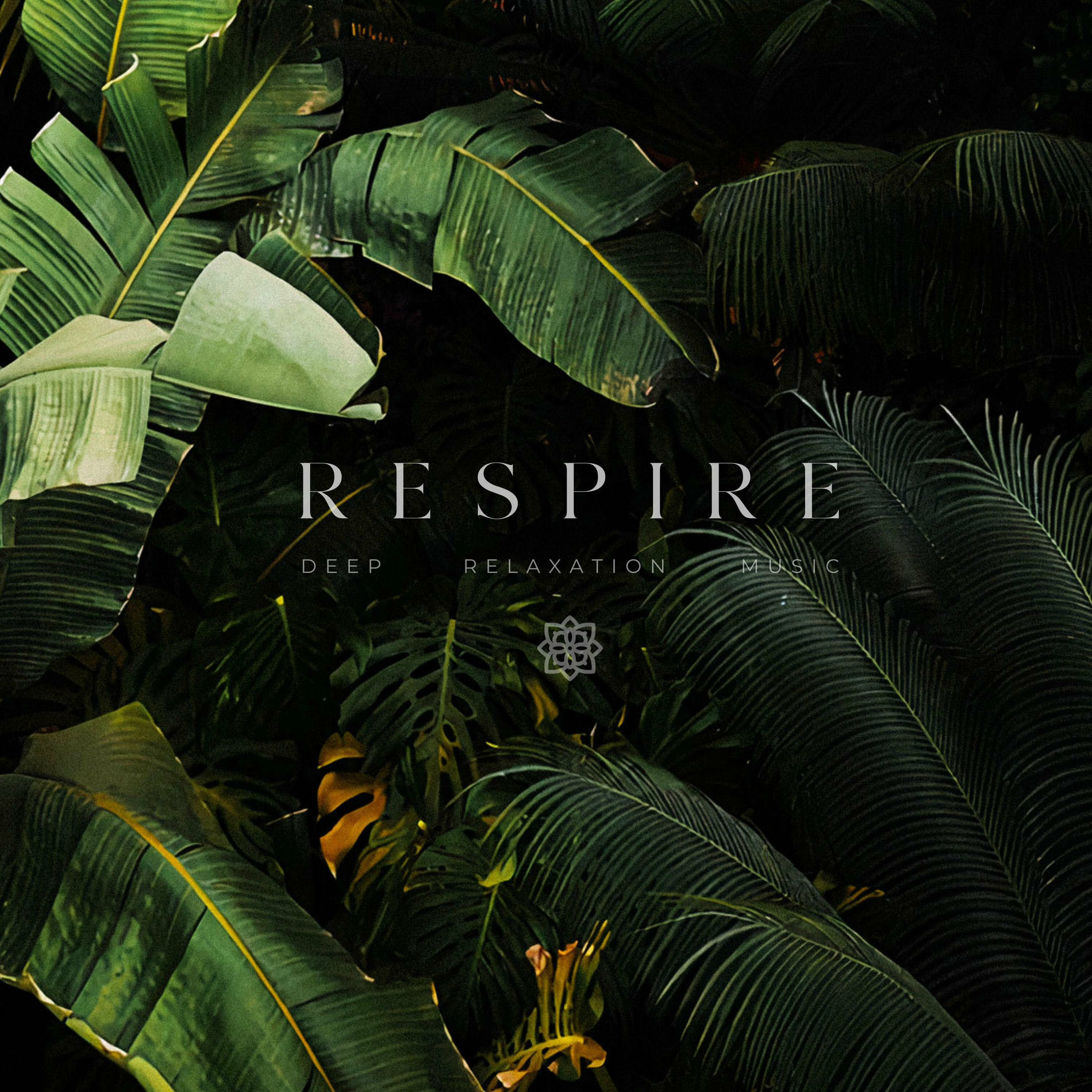 Album cover of Reveries