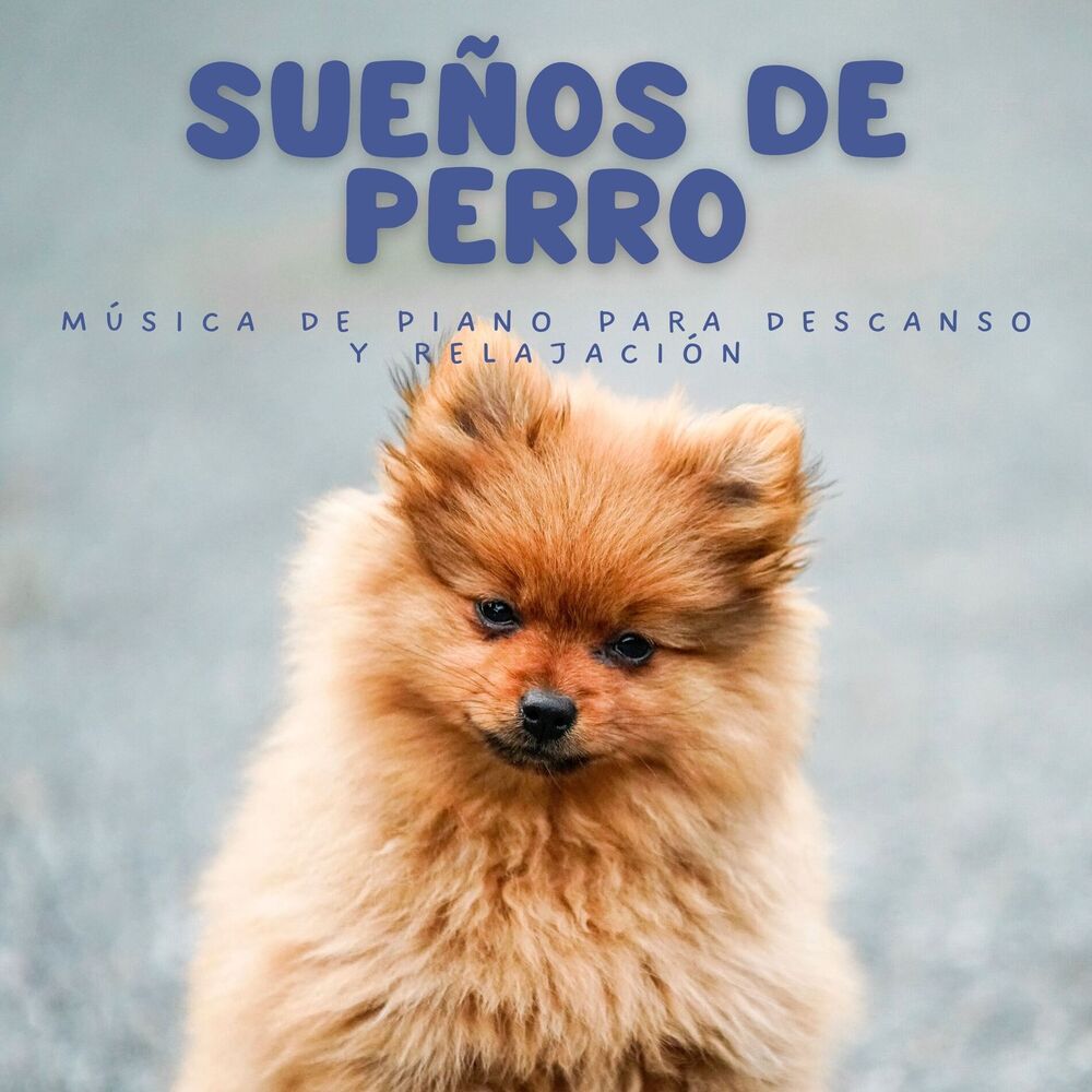 Picture of Sueños De Perro: Música De Piano Para Descanso Y Relajación
