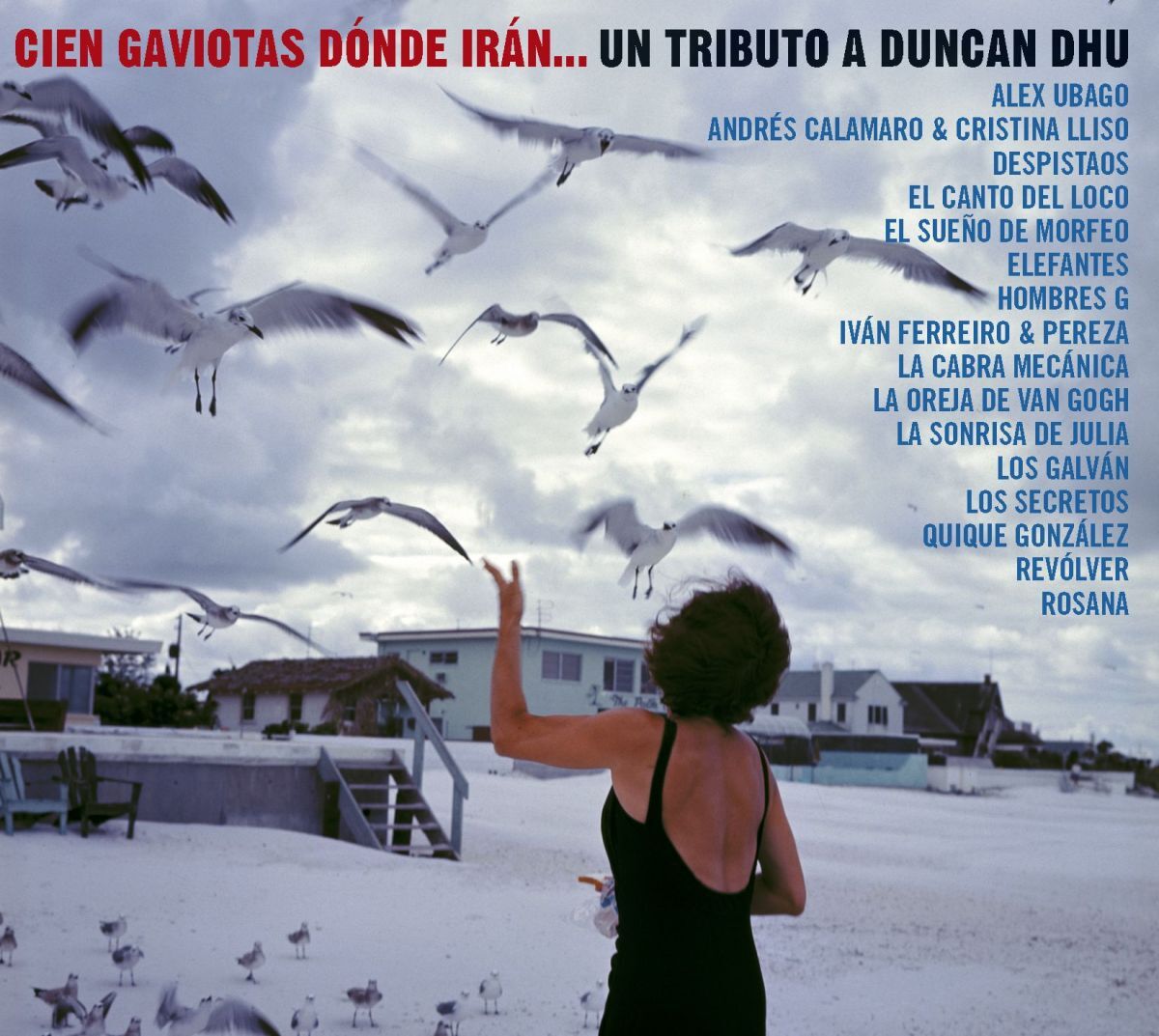Album cover of Cien gaviotas