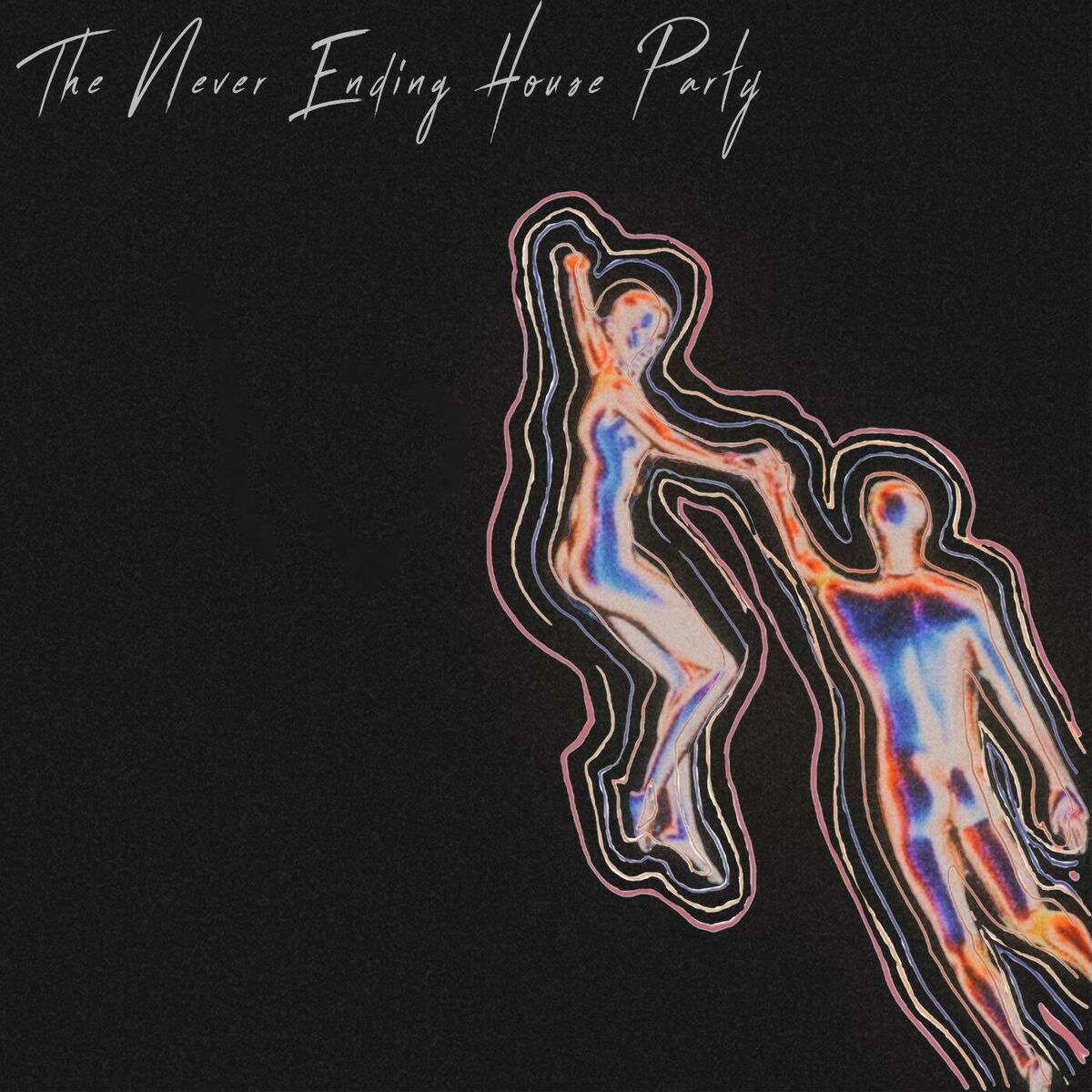 Album cover of The Never Ending House Party