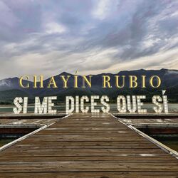 Cover of Si Me Dices Que Sí