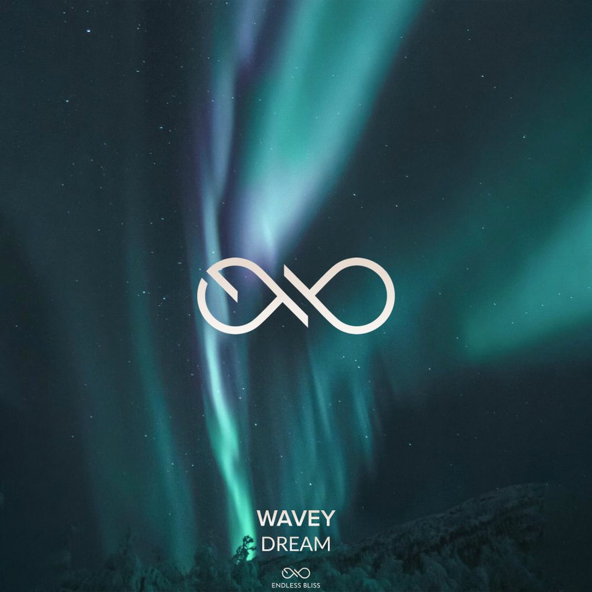 Album cover of Dream